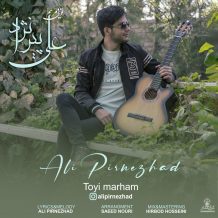 دانلود آهنگ جدید علی پیرنژاد به نام تویی مرحم